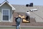 Toolongskylights-2.jpg; ?>